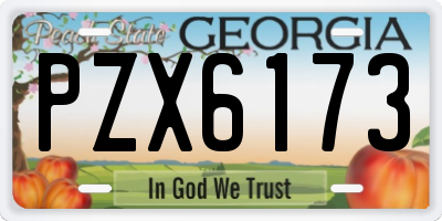 GA license plate PZX6173