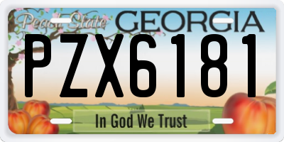 GA license plate PZX6181
