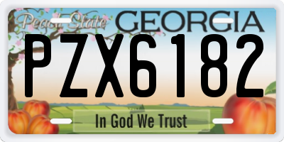 GA license plate PZX6182