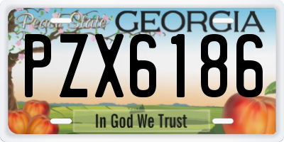 GA license plate PZX6186