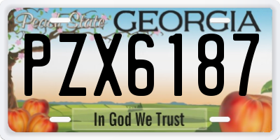 GA license plate PZX6187