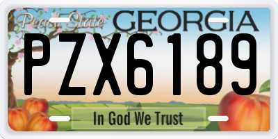 GA license plate PZX6189