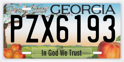 GA license plate PZX6193