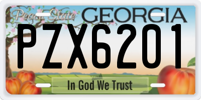 GA license plate PZX6201