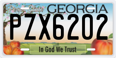 GA license plate PZX6202