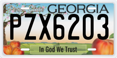 GA license plate PZX6203