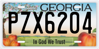 GA license plate PZX6204