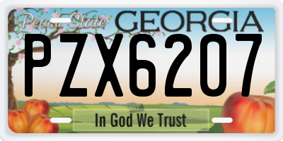 GA license plate PZX6207