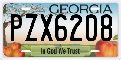 GA license plate PZX6208