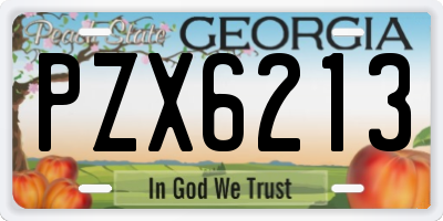 GA license plate PZX6213