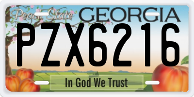 GA license plate PZX6216