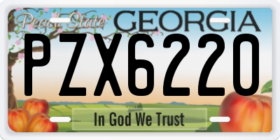 GA license plate PZX6220