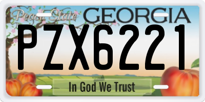 GA license plate PZX6221