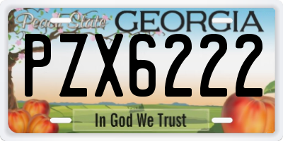 GA license plate PZX6222