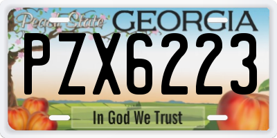 GA license plate PZX6223