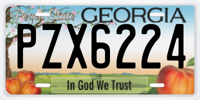 GA license plate PZX6224