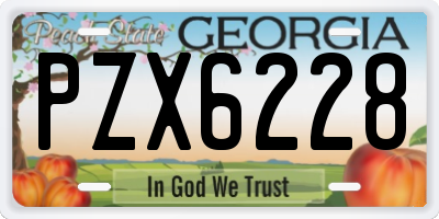 GA license plate PZX6228
