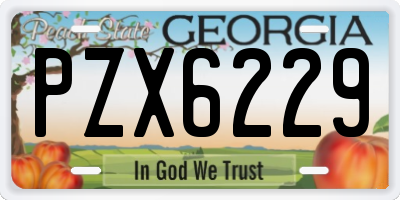 GA license plate PZX6229