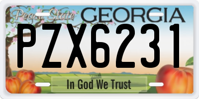 GA license plate PZX6231