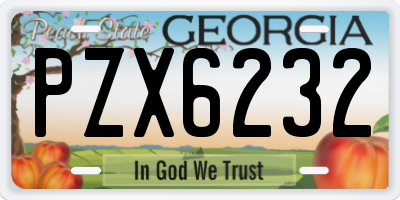 GA license plate PZX6232