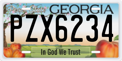 GA license plate PZX6234