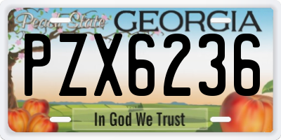 GA license plate PZX6236