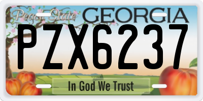 GA license plate PZX6237