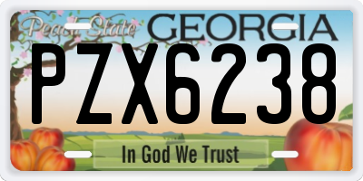 GA license plate PZX6238