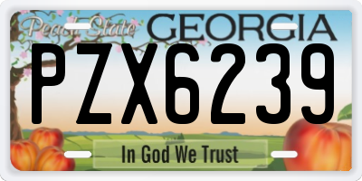 GA license plate PZX6239