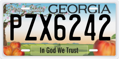 GA license plate PZX6242