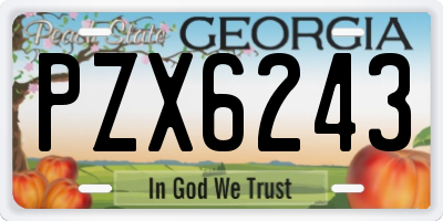 GA license plate PZX6243