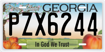 GA license plate PZX6244