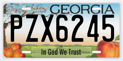 GA license plate PZX6245