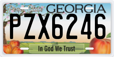 GA license plate PZX6246
