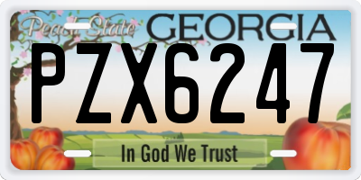 GA license plate PZX6247