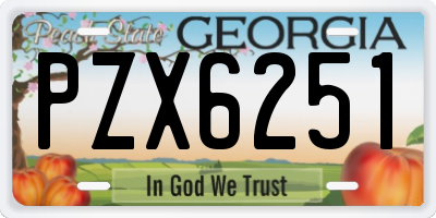 GA license plate PZX6251