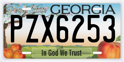 GA license plate PZX6253