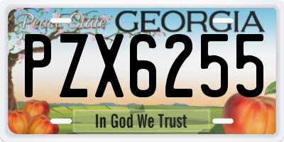 GA license plate PZX6255