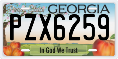 GA license plate PZX6259
