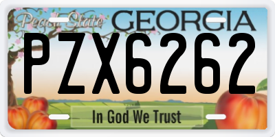 GA license plate PZX6262