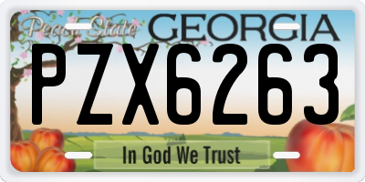 GA license plate PZX6263