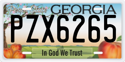 GA license plate PZX6265