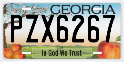 GA license plate PZX6267