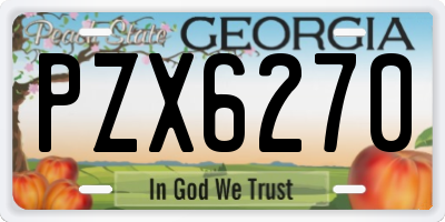 GA license plate PZX6270