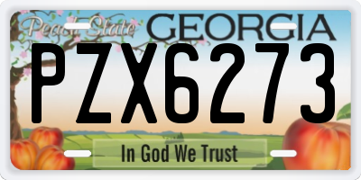 GA license plate PZX6273