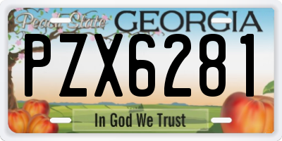GA license plate PZX6281