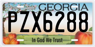 GA license plate PZX6288