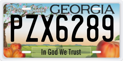 GA license plate PZX6289