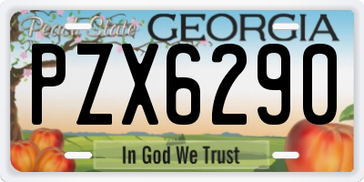 GA license plate PZX6290