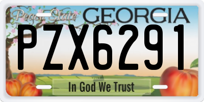 GA license plate PZX6291